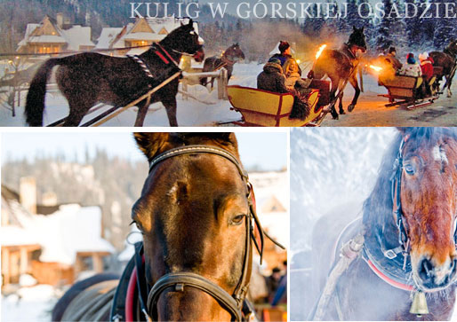 GÓRSKA OSADA organizuje kuligi - konie zaprzężone w góralskie sanie. Zima w Zakopanem